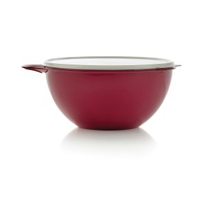 Tupperware Thatsa? Medium Bowl | Airtight. Leakproof. 19-cups/4.5 L