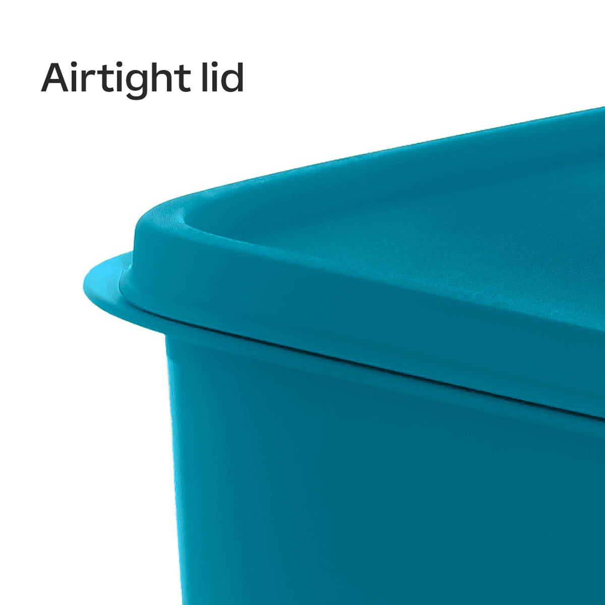 Lunch-It? Large Container - Image 4