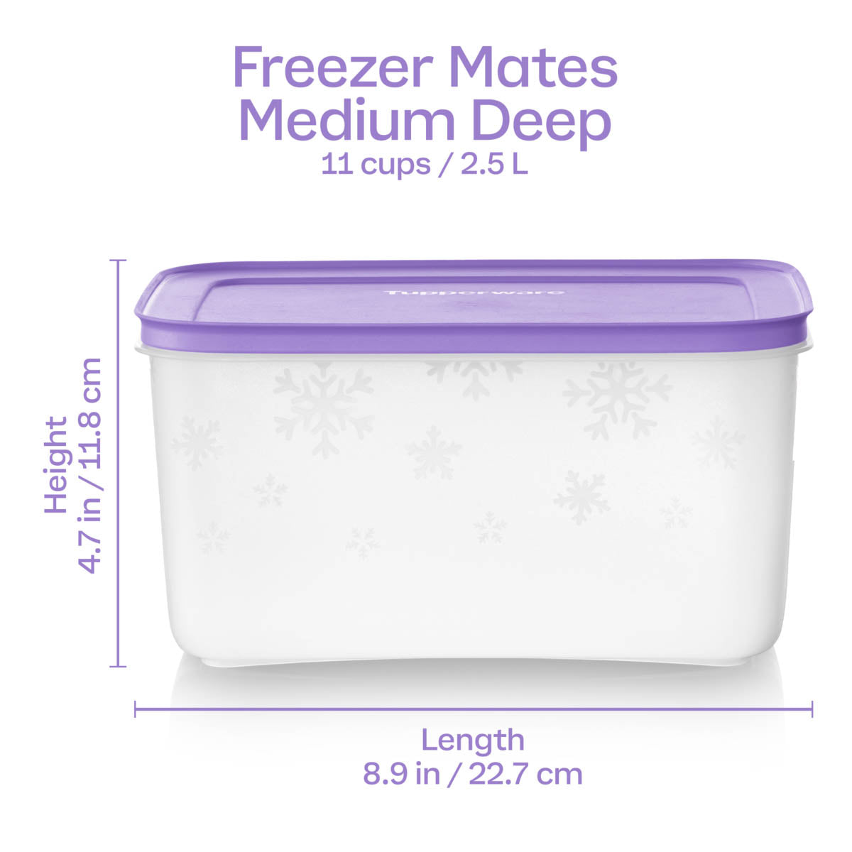 Tupperware? Freezer Mates? PLUS Medium Deep | Food Storage Container - Image 6