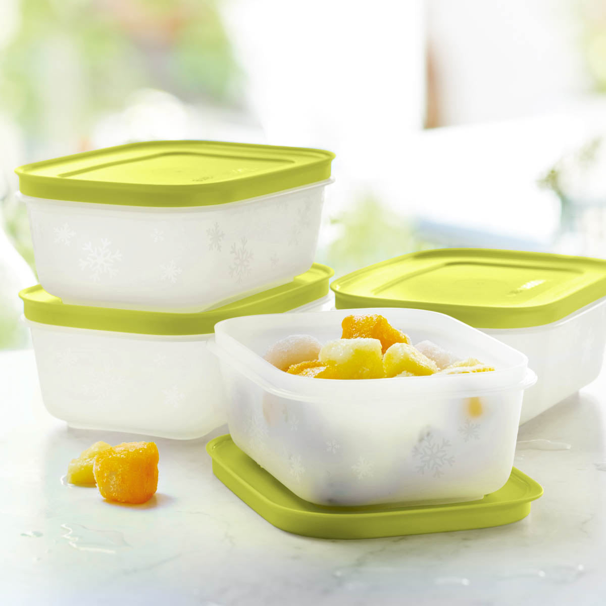 Tupperware? Freezer Mates? PLUS Small Shallow | 4-Piece Container Set - Image 2